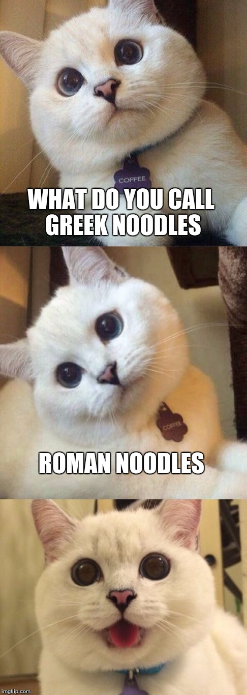 bad pun cat  | WHAT DO YOU CALL GREEK NOODLES; ROMAN NOODLES | image tagged in bad pun cat | made w/ Imgflip meme maker