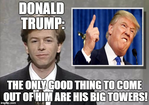 David Spade: Hollywood Minute | DONALD TRUMP:; THE ONLY GOOD THING TO COME OUT OF HIM ARE HIS BIG TOWERS! | image tagged in david spade hollywood minute | made w/ Imgflip meme maker