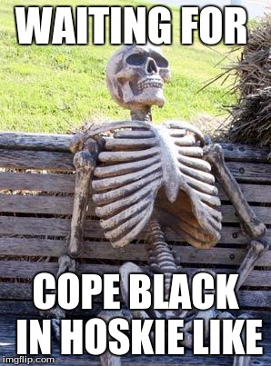Waiting Skeleton | WAITING FOR; COPE BLACK IN HOSKIE LIKE | image tagged in memes,waiting skeleton | made w/ Imgflip meme maker