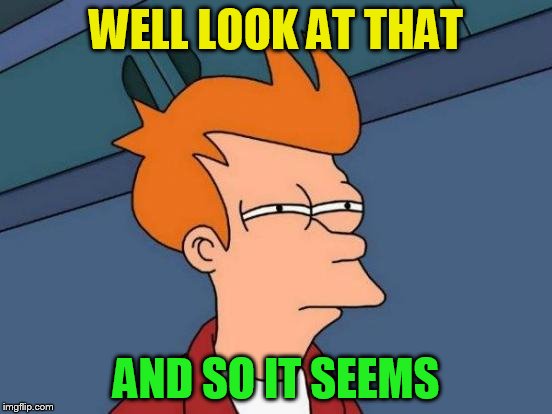 Futurama Fry Meme | WELL LOOK AT THAT AND SO IT SEEMS | image tagged in memes,futurama fry | made w/ Imgflip meme maker