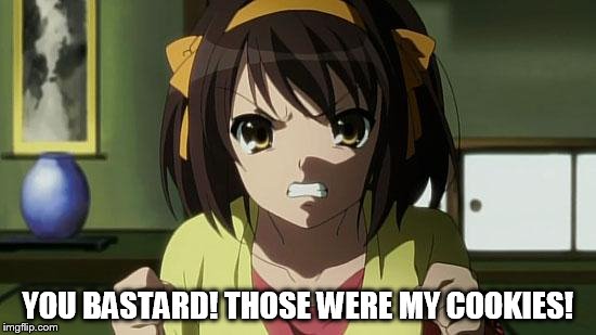 Angry Haruhi | YOU BASTARD! THOSE WERE MY COOKIES! | image tagged in angry haruhi | made w/ Imgflip meme maker