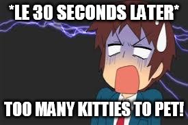 Kyon shocked | *LE 30 SECONDS LATER* TOO MANY KITTIES TO PET! | image tagged in kyon shocked | made w/ Imgflip meme maker