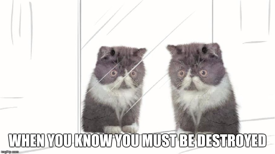 Kitty Amazing | WHEN YOU KNOW YOU MUST BE DESTROYED | image tagged in kitty,destroy,sacrifice | made w/ Imgflip meme maker