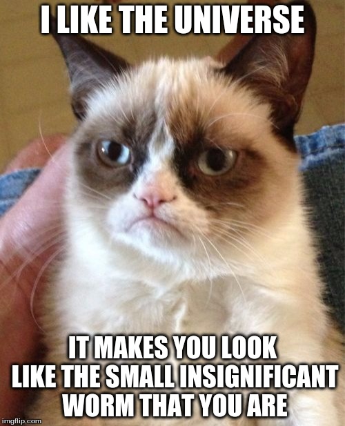 Grumpy Cat's Views on the Universe | I LIKE THE UNIVERSE; IT MAKES YOU LOOK LIKE THE SMALL INSIGNIFICANT WORM THAT YOU ARE | image tagged in memes,grumpy cat | made w/ Imgflip meme maker