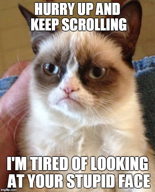 Again with the insults! | HURRY UP AND KEEP SCROLLING; I'M TIRED OF LOOKING AT YOUR STUPID FACE | image tagged in memes,grumpy cat,fourth wall,breaking the fourth wall,keep scrolling,insults | made w/ Imgflip meme maker