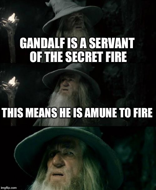 Confused Gandalf Meme | GANDALF IS A SERVANT OF THE SECRET FIRE; THIS MEANS HE IS AMUNE TO FIRE | image tagged in memes,confused gandalf | made w/ Imgflip meme maker