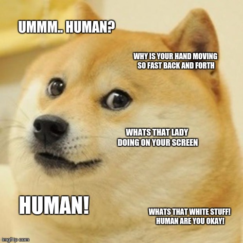O NO! HUMAN! | UMMM.. HUMAN? WHY IS YOUR HAND MOVING SO FAST BACK AND FORTH; WHATS THAT LADY DOING ON YOUR SCREEN; HUMAN! WHATS THAT WHITE STUFF! HUMAN ARE YOU OKAY! | image tagged in memes,doge | made w/ Imgflip meme maker
