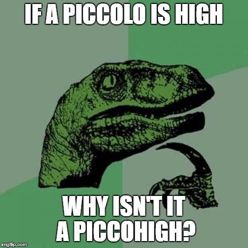 Philosoraptor Meme | IF A PICCOLO IS HIGH WHY ISN'T IT A PICCOHIGH? | image tagged in memes,philosoraptor | made w/ Imgflip meme maker
