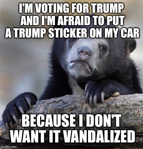 Confession Bear Meme | I'M VOTING FOR TRUMP AND I'M AFRAID TO PUT A TRUMP STICKER ON MY CAR BECAUSE I DON'T WANT IT VANDALIZED | image tagged in memes,confession bear | made w/ Imgflip meme maker