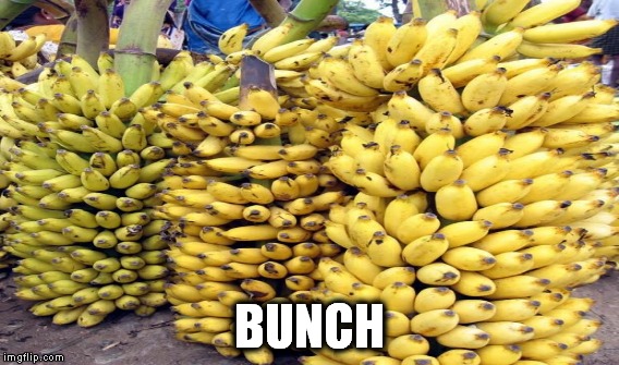 BUNCH | made w/ Imgflip meme maker