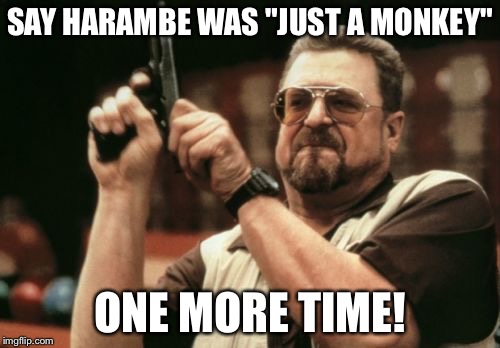 Am I The Only One Around Here Meme | SAY HARAMBE WAS "JUST A MONKEY"; ONE MORE TIME! | image tagged in memes,am i the only one around here | made w/ Imgflip meme maker