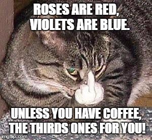 coffee bird | ROSES ARE RED,  
VIOLETS ARE BLUE. UNLESS YOU HAVE COFFEE, THE THIRDS ONES FOR YOU! | image tagged in cat middle finger,morning,coffee,funny | made w/ Imgflip meme maker