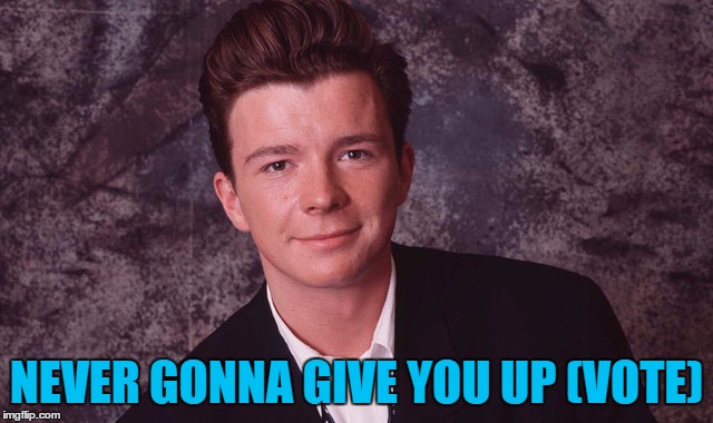 NEVER GONNA GIVE YOU UP (VOTE) | made w/ Imgflip meme maker
