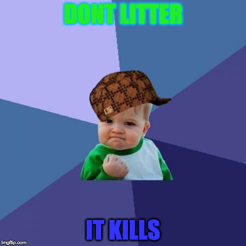 Success Kid | DONT LITTER; IT KILLS | image tagged in memes,success kid,scumbag | made w/ Imgflip meme maker