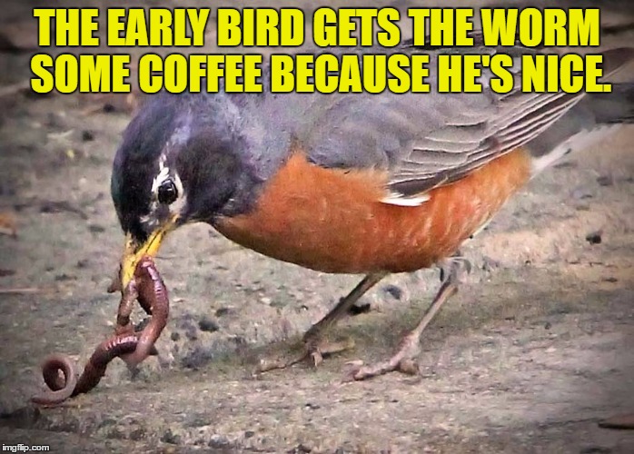 early bird gets coffee |  THE EARLY BIRD GETS THE WORM SOME COFFEE BECAUSE HE'S NICE. | image tagged in early bird,coffee,nice,funny,funny memes | made w/ Imgflip meme maker