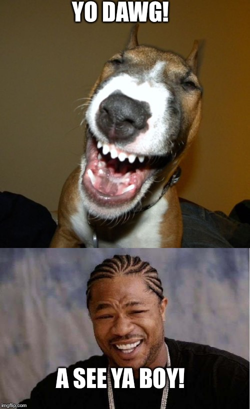 This dawg done made my day ! New addition to my meme templates ... I got him a basket and a bone too!! | YO DAWG! A SEE YA BOY! | image tagged in laughing dog,yo dawg,laughter,spontaneous laughter | made w/ Imgflip meme maker