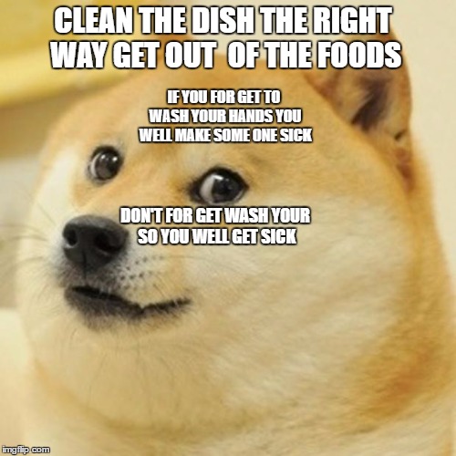 Doge Meme | CLEAN THE DISH THE RIGHT WAY GET OUT  OF THE FOODS; IF YOU FOR GET TO WASH YOUR HANDS YOU WELL MAKE SOME ONE SICK; DON'T FOR GET WASH YOUR SO YOU WELL GET SICK | image tagged in memes,doge | made w/ Imgflip meme maker