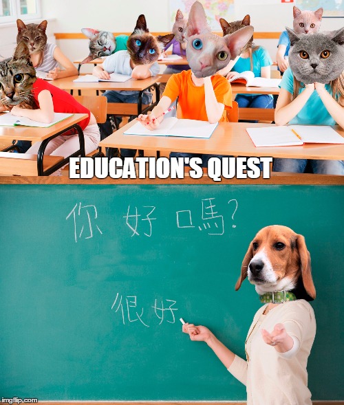 Education's quest | EDUCATION'S QUEST | image tagged in education,school | made w/ Imgflip meme maker