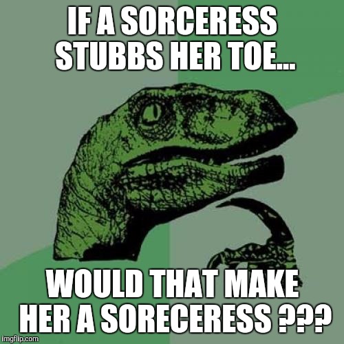 Stubbing your toe | IF A SORCERESS STUBBS HER TOE... WOULD THAT MAKE HER A SORECERESS ??? | image tagged in memes,philosoraptor,stubbing toe,sore,sorceress | made w/ Imgflip meme maker