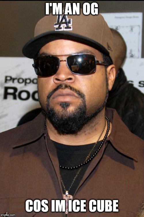 Rapper | I'M AN OG; COS IM ICE CUBE | image tagged in rapper | made w/ Imgflip meme maker
