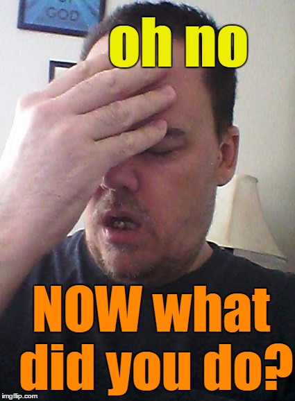 face palm | oh no NOW what did you do? | image tagged in face palm | made w/ Imgflip meme maker