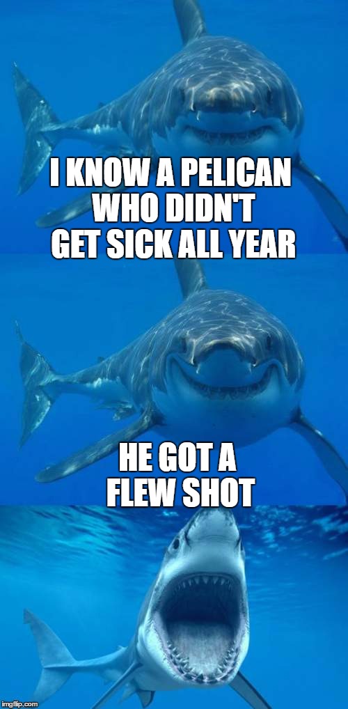 Flying fish | I KNOW A PELICAN WHO DIDN'T GET SICK ALL YEAR; HE GOT A FLEW SHOT | image tagged in bad shark pun,birds,pelican,memes,shark,sick | made w/ Imgflip meme maker
