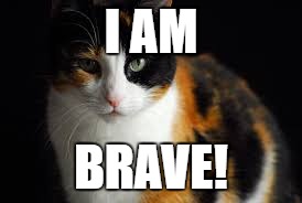 I AM; BRAVE! | image tagged in memes | made w/ Imgflip meme maker