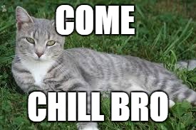 Come chill bro | COME; CHILL BRO | image tagged in memes | made w/ Imgflip meme maker