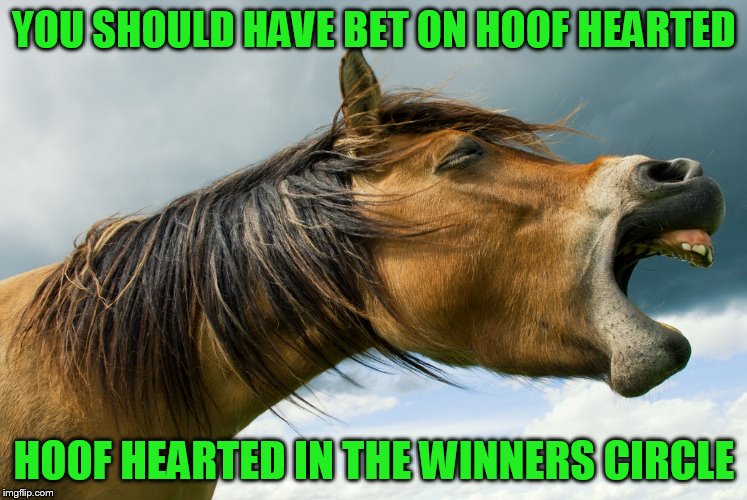 YOU SHOULD HAVE BET ON HOOF HEARTED HOOF HEARTED IN THE WINNERS CIRCLE | made w/ Imgflip meme maker