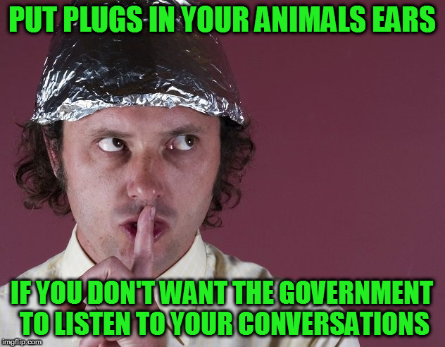 Crappy conspiracy Craig | PUT PLUGS IN YOUR ANIMALS EARS; IF YOU DON'T WANT THE GOVERNMENT TO LISTEN TO YOUR CONVERSATIONS | image tagged in conspiracy | made w/ Imgflip meme maker