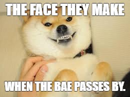 doge | THE FACE THEY MAKE; WHEN THE BAE PASSES BY. | image tagged in doge | made w/ Imgflip meme maker