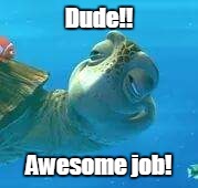 Dude!! Awesome job! | image tagged in turtle dude | made w/ Imgflip meme maker