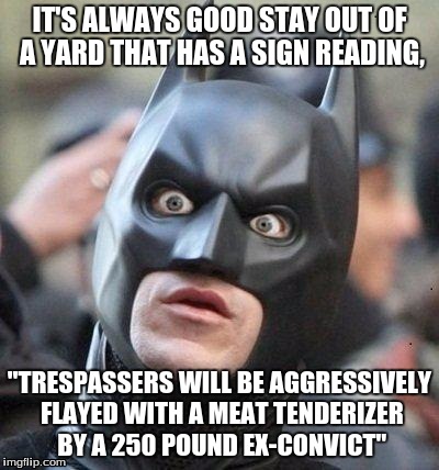 I would stay far away from this yard, partially because of just how specific the punishment is.  | IT'S ALWAYS GOOD STAY OUT OF A YARD THAT HAS A SIGN READING, "TRESPASSERS WILL BE AGGRESSIVELY FLAYED WITH A MEAT TENDERIZER BY A 250 POUND EX-CONVICT" | image tagged in shocked batman | made w/ Imgflip meme maker