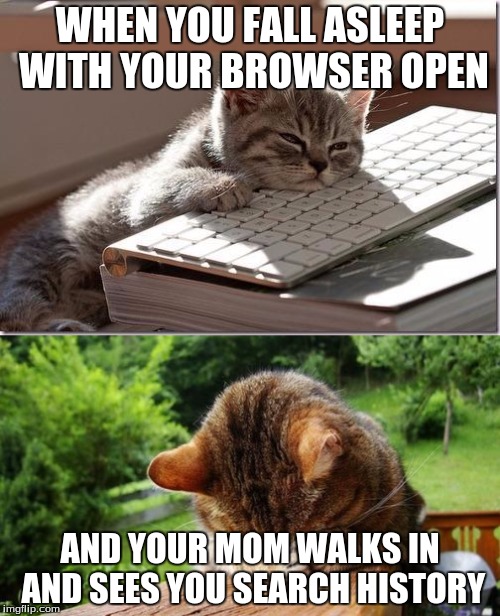 I hate when this happens. Makes life awkward. | WHEN YOU FALL ASLEEP WITH YOUR BROWSER OPEN; AND YOUR MOM WALKS IN AND SEES YOU SEARCH HISTORY | image tagged in funny,cat,embarrassing | made w/ Imgflip meme maker