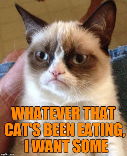 Grumpy Cat Meme | WHATEVER THAT CAT'S BEEN EATING,  I WANT SOME | image tagged in memes,grumpy cat | made w/ Imgflip meme maker