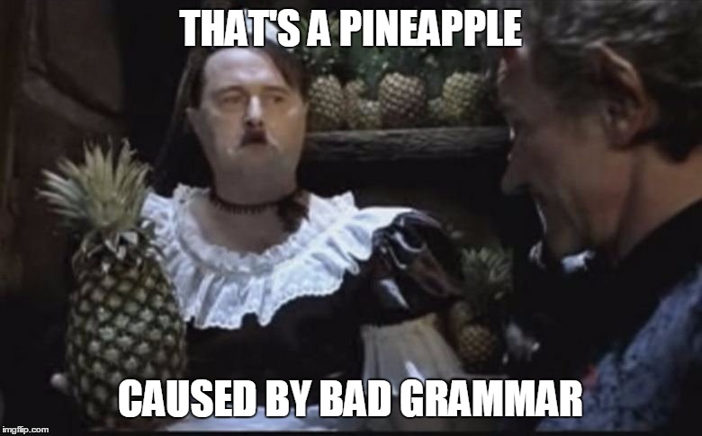 Hitler Pineapple | THAT'S A PINEAPPLE CAUSED BY BAD GRAMMAR | image tagged in hitler pineapple | made w/ Imgflip meme maker