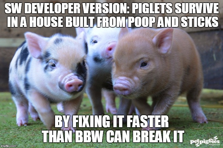 pigs | SW DEVELOPER VERSION: PIGLETS SURVIVE IN A HOUSE BUILT FROM POOP AND STICKS; BY FIXING IT FASTER THAN BBW CAN BREAK IT | image tagged in pigs | made w/ Imgflip meme maker