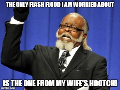 Too Damn High Meme | THE ONLY FLASH FLOOD I AM WORRIED ABOUT; IS THE ONE FROM MY WIFE'S HOOTCH! | image tagged in memes,too damn high | made w/ Imgflip meme maker
