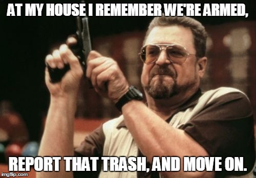Am I The Only One Around Here Meme | AT MY HOUSE I REMEMBER WE'RE ARMED, REPORT THAT TRASH, AND MOVE ON. | image tagged in memes,am i the only one around here | made w/ Imgflip meme maker