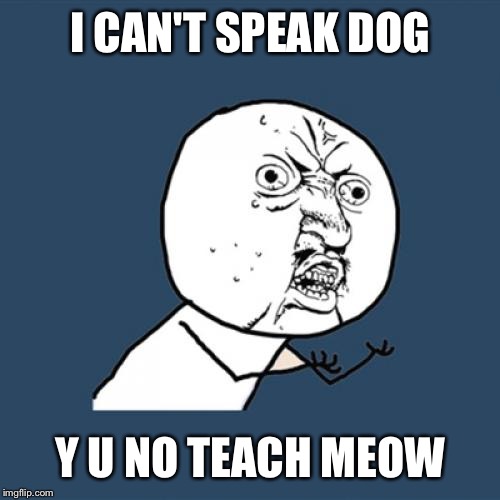 Y U No Meme | I CAN'T SPEAK DOG Y U NO TEACH MEOW | image tagged in memes,y u no | made w/ Imgflip meme maker