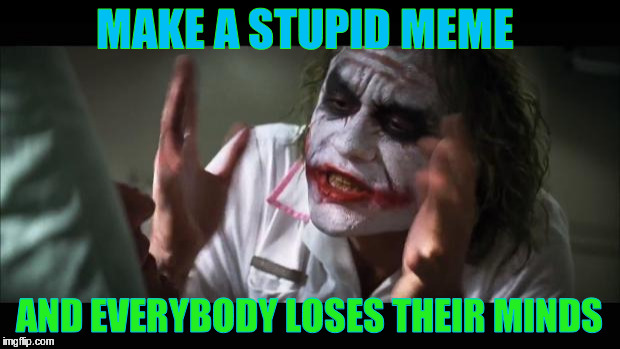And everybody loses their minds | MAKE A STUPID MEME; AND EVERYBODY LOSES THEIR MINDS | image tagged in memes,and everybody loses their minds | made w/ Imgflip meme maker