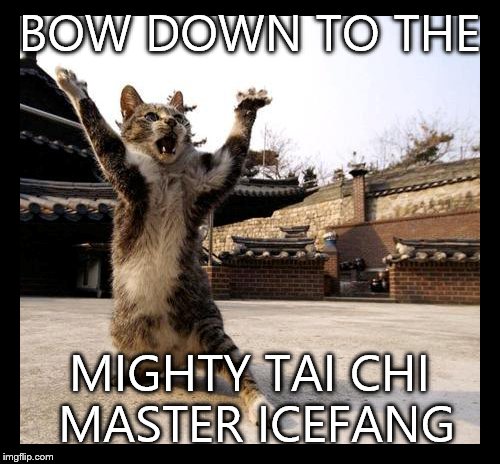 Done Karate Since 6. Your Story? | BOW DOWN TO THE; MIGHTY TAI CHI MASTER ICEFANG | image tagged in cat | made w/ Imgflip meme maker