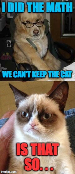 math is dangerous | I DID THE MATH; WE CAN'T KEEP THE CAT; IS THAT SO. . . | image tagged in meme,grumpy cat,smart dog | made w/ Imgflip meme maker