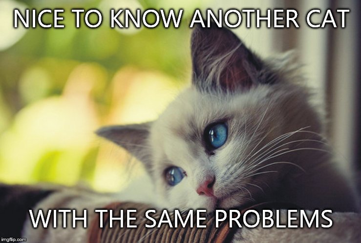 NICE TO KNOW ANOTHER CAT WITH THE SAME PROBLEMS | made w/ Imgflip meme maker