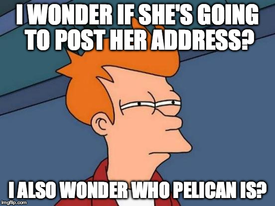 Futurama Fry Meme | I WONDER IF SHE'S GOING TO POST HER ADDRESS? I ALSO WONDER WHO PELICAN IS? | image tagged in memes,futurama fry | made w/ Imgflip meme maker
