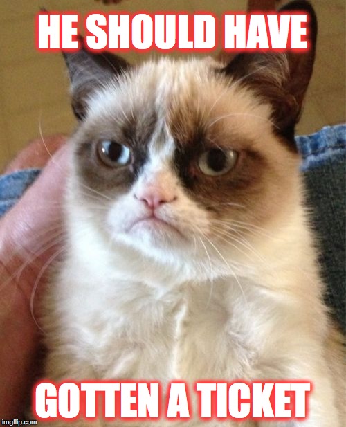 HE SHOULD HAVE GOTTEN A TICKET | image tagged in memes,grumpy cat | made w/ Imgflip meme maker