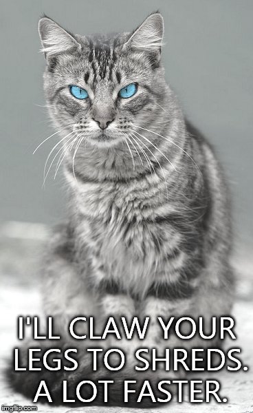 I'LL CLAW YOUR LEGS TO SHREDS. A LOT FASTER. | made w/ Imgflip meme maker