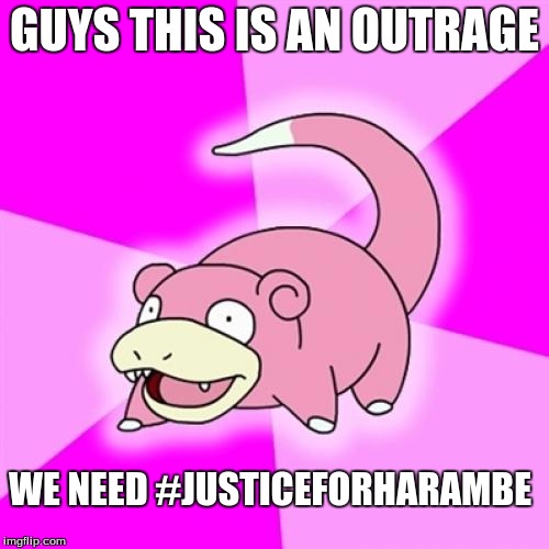 Slowpoke Meme | GUYS THIS IS AN OUTRAGE; WE NEED #JUSTICEFORHARAMBE | image tagged in memes,slowpoke | made w/ Imgflip meme maker