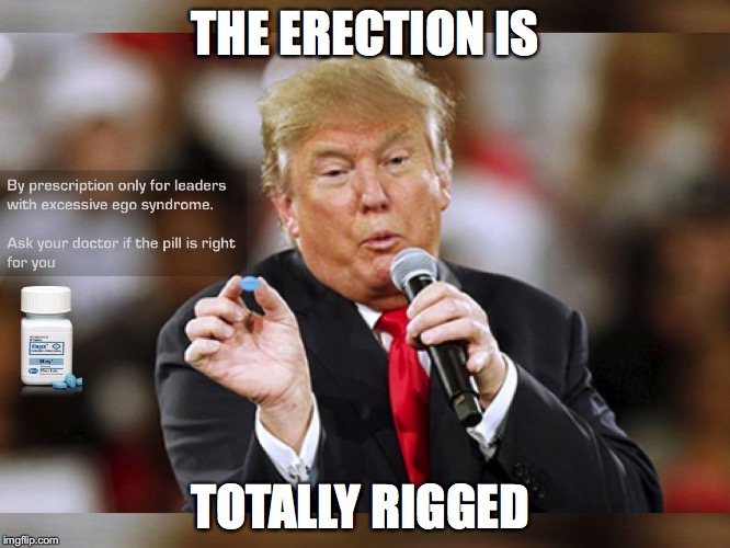 Trump Viagra Erection Rigged | THE ERECTION IS TOTALLY RIGGED | image tagged in trump viagra erection rigged | made w/ Imgflip meme maker