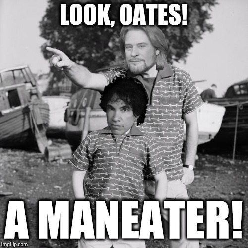 Woah-oah.. Here she comes! | LOOK, OATES! A MANEATER! | image tagged in look son,hall  oates,daryll hall,john oates,songs,funny | made w/ Imgflip meme maker